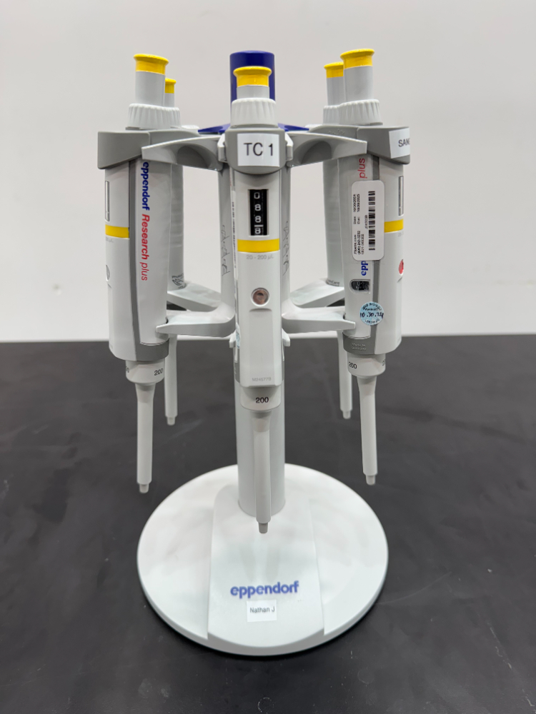Image of Eppendorf Single Chanel Pippets; Quantity: 6